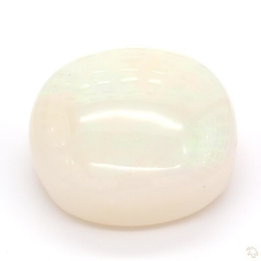 OP-25800651-19-77 Preview