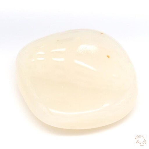 OP-25800644-11-94 Preview