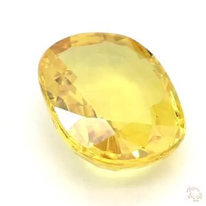 567-carat-yellow-natural-sapphire-4
