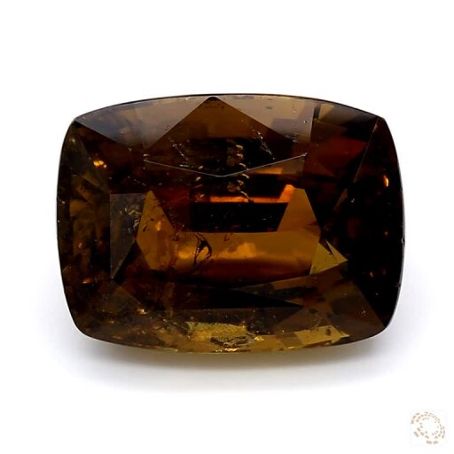 CHR-25800820-12-38 Preview