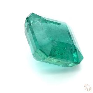 547-carat-green-natural-emerald-4
