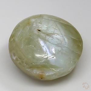 cateye-25000708-4-21-2