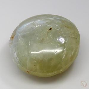 cateye-25000708-4-21-3