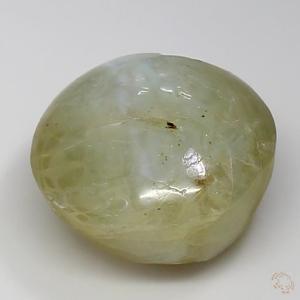 cateye-25000708-4-21-4