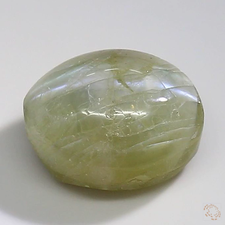 cateye-25000716-5-20-preview