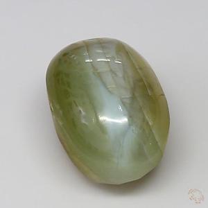 cateye-25000715-5-66-4