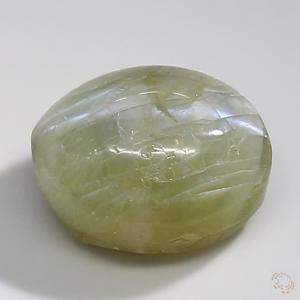 cateye-25000716-5-20-1