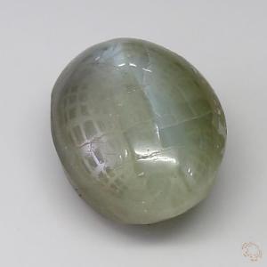 cateye-25000721-5-79-2