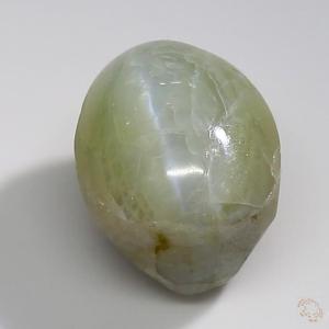 cateye-25000727-5-51-4