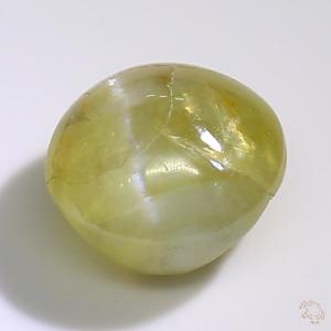 cateye-25002034-1-72-4