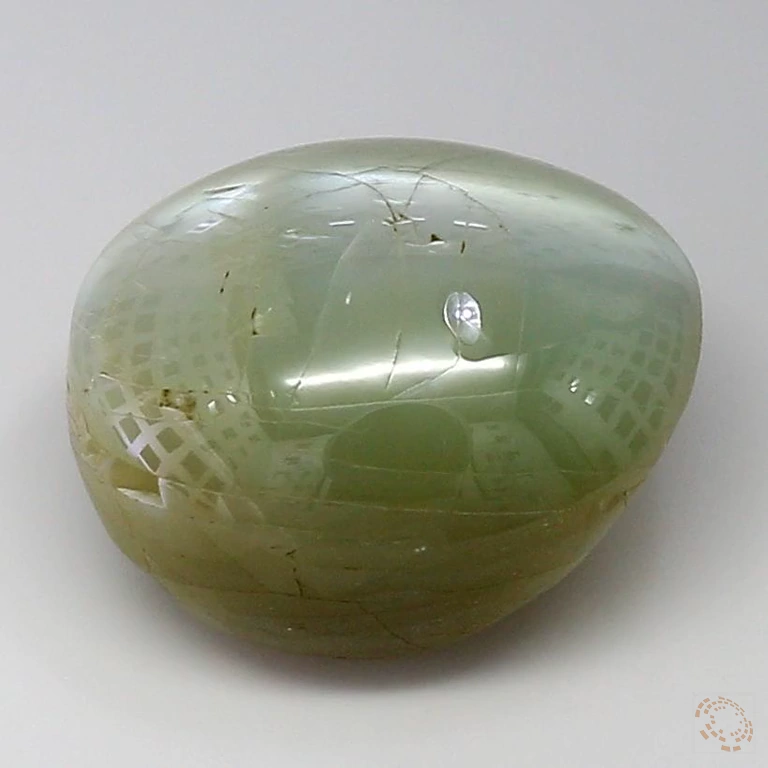 cateye-25003280-11-03-preview