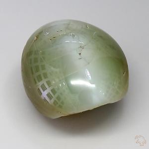 cateye-25003280-11-03-2