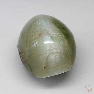 cateye-25003279-13-24-4