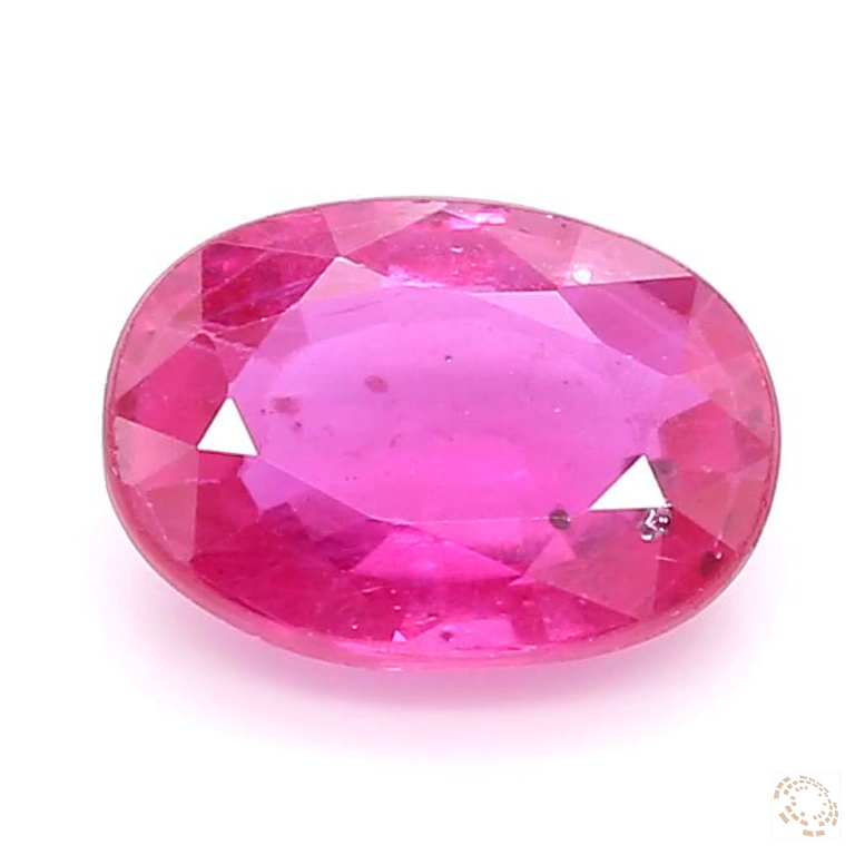 r-25010050-1-00-preview