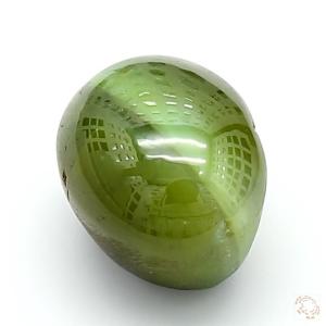 cateye-25010043-5-94-4