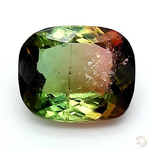 TRML-25006011-3-52 Thumbnail