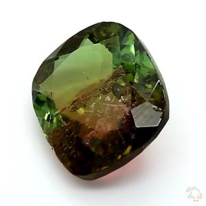 trml-25006011-3-52-2