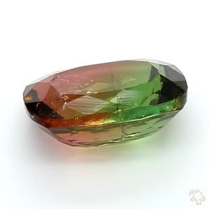 trml-25006011-3-52-3