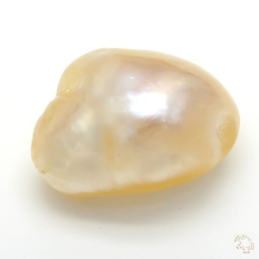 PRL-25800794-6-69 Preview