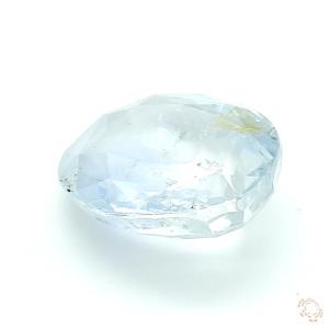 bs-25002948-4-31-3