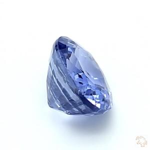 bs-2608944-1-14-4