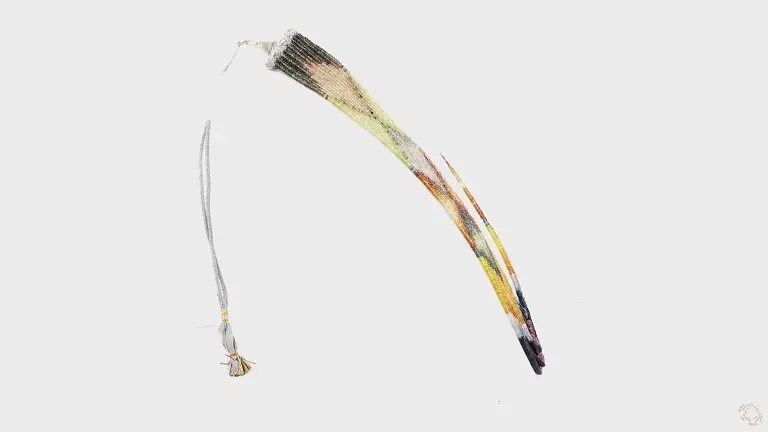 n-537298-p-n-r-26604