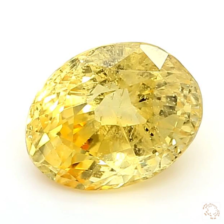 ys-25800919-3-22-preview