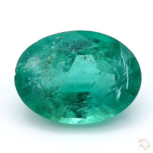 E-25007521-2-81 Thumbnail