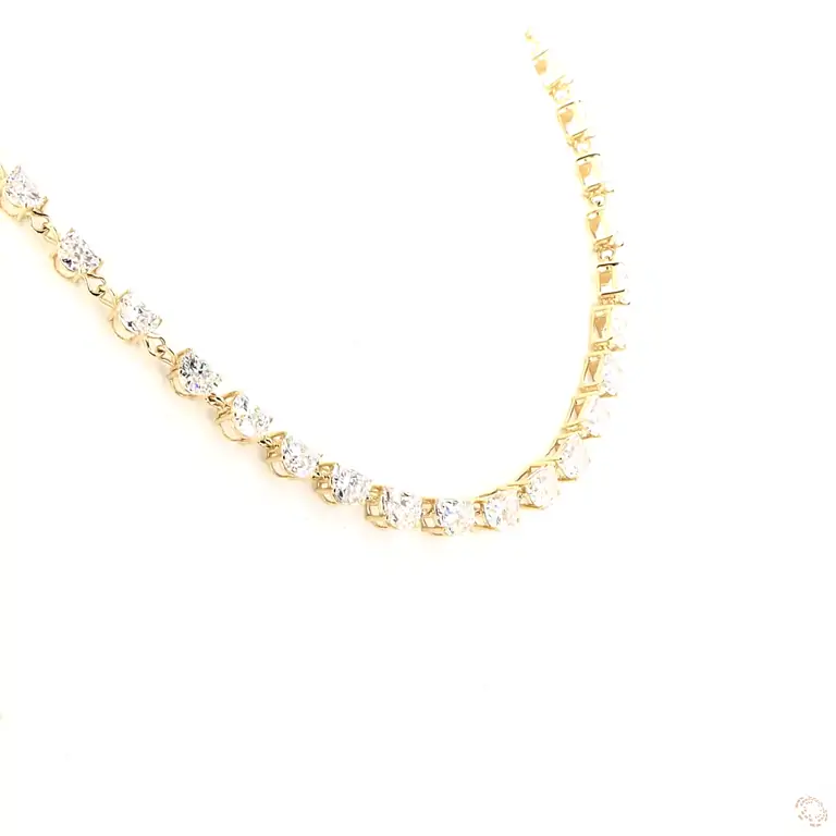 fjnk0382-y-p-m-zm-1-70557