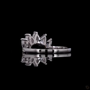 r-281676-4