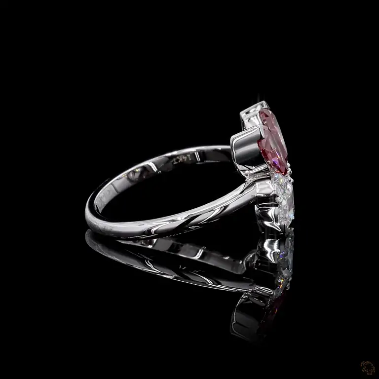 r-786542-p-p-fr-58332