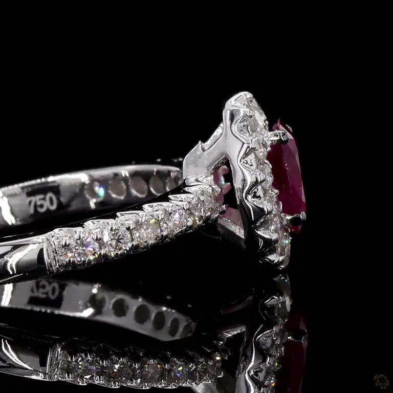 fcr502ru-p-p-zm-17359