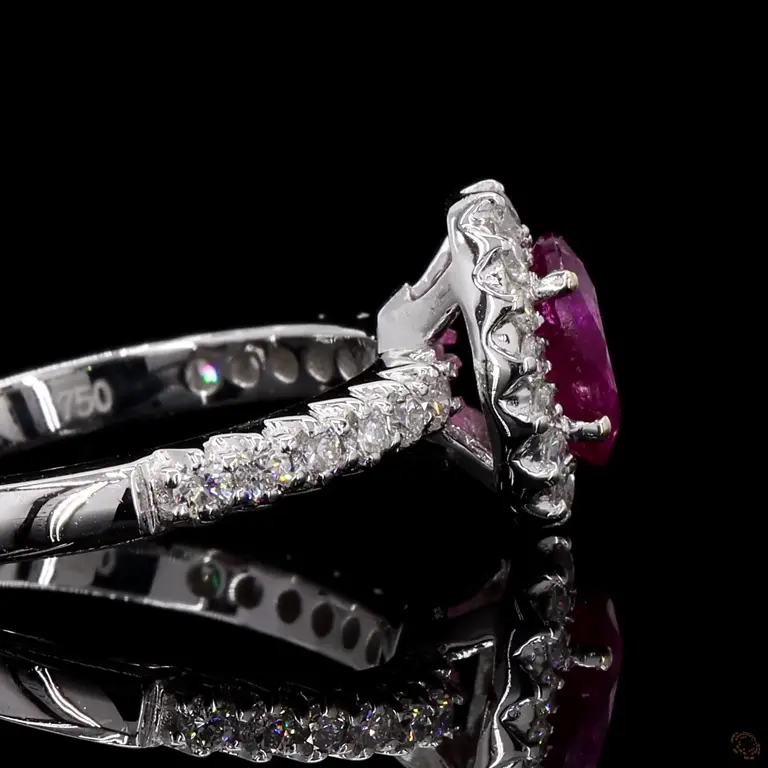 fcr502tr-p-p-zm-17362