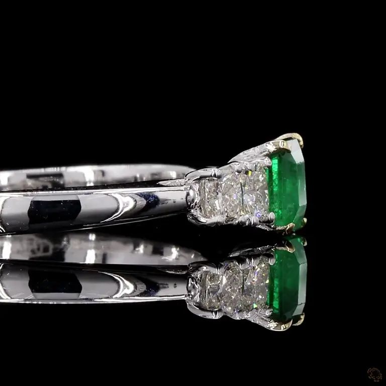 fcr1054-p-p-zm-17389