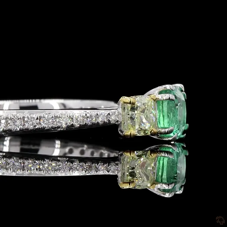 fcr1046-p-p-zm-17392