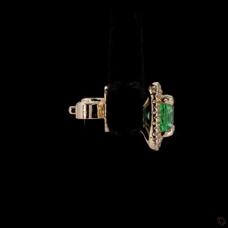 fce304em-p-h-zm-1-18759