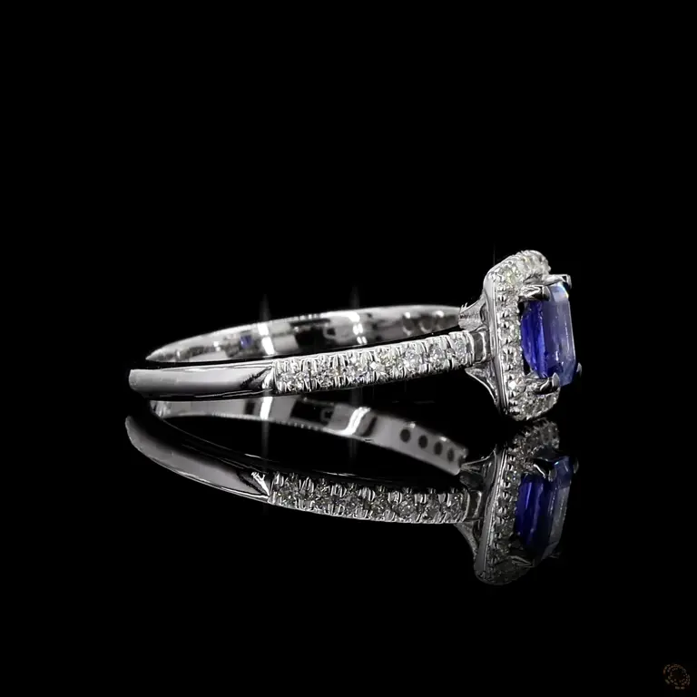 r-980356-p-r-r-22586