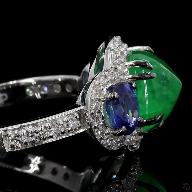 r-231291-p-p-zm-22579