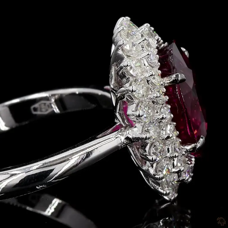 r-541101-p-p-zm-22582