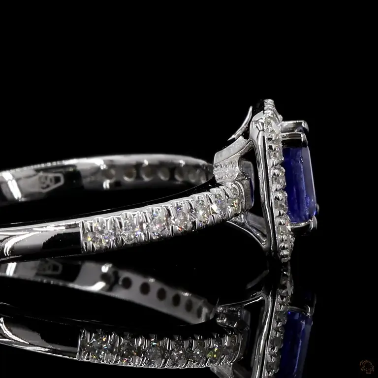 r-980356-p-p-zm-22588