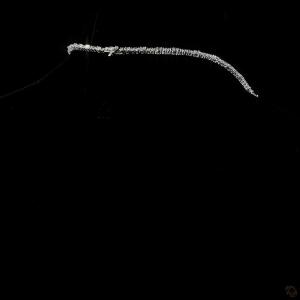 ne-810922-5