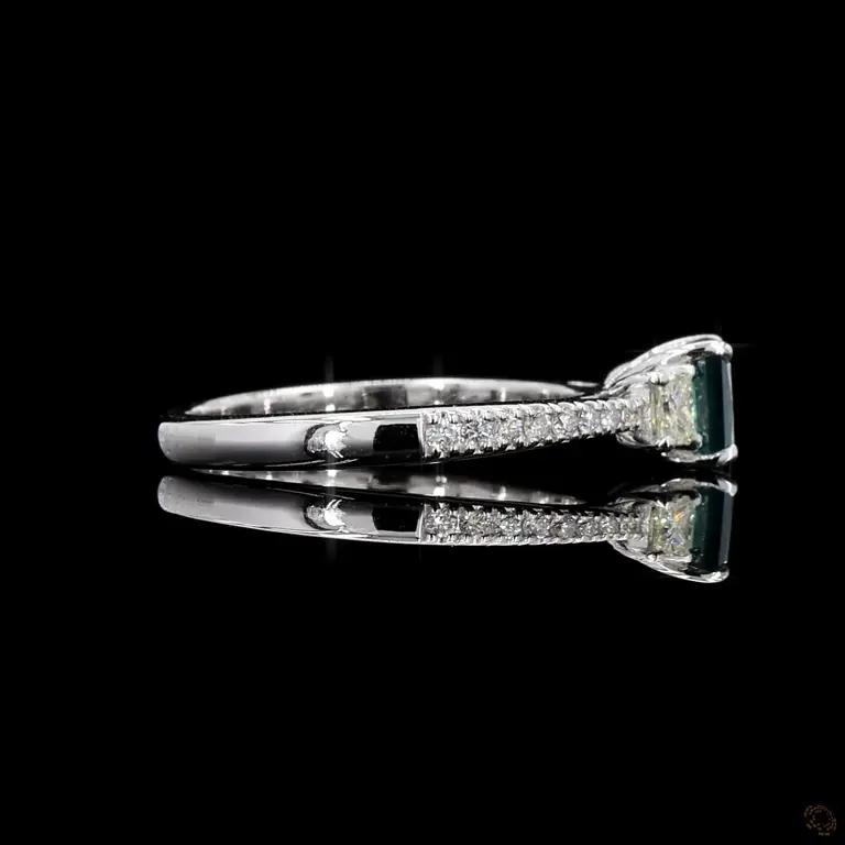 fcr456bd-p-r-r-17611