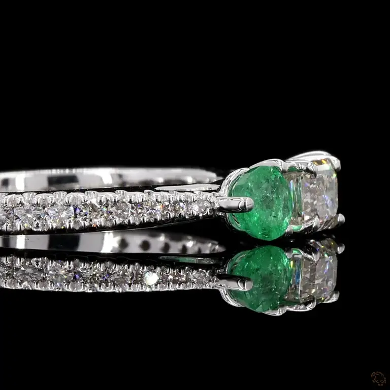 fcr654em-p-p-zm-17616