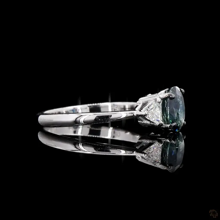 fcr268sa-p-r-r-17695