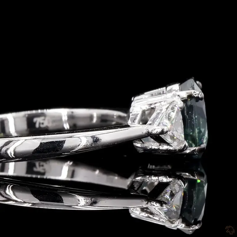 fcr268sa-p-p-zm-17697