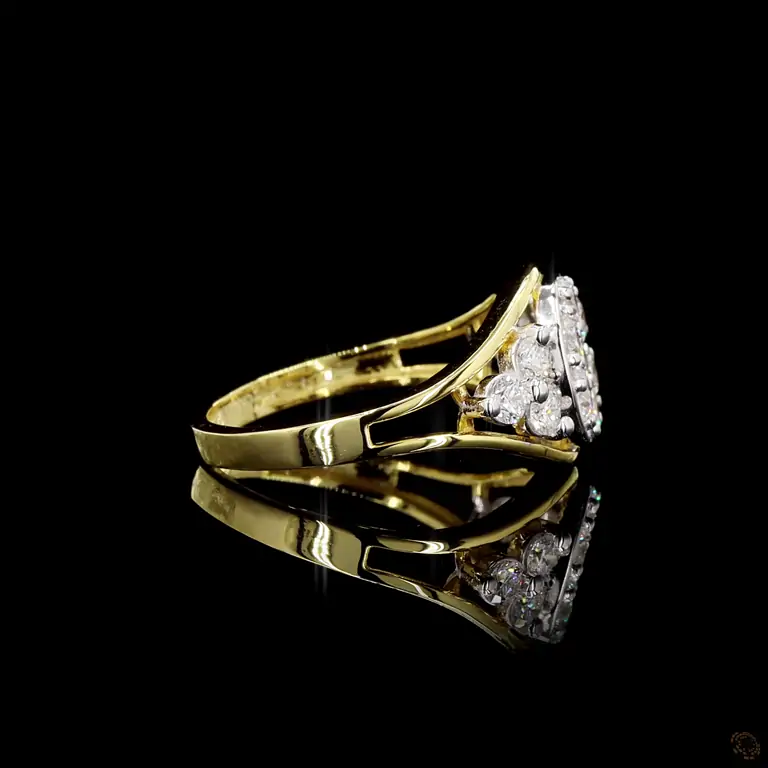 r-333843-p-p-fr-57186