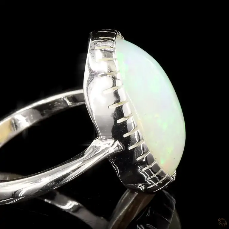 r-170335-p-p-zm-66359