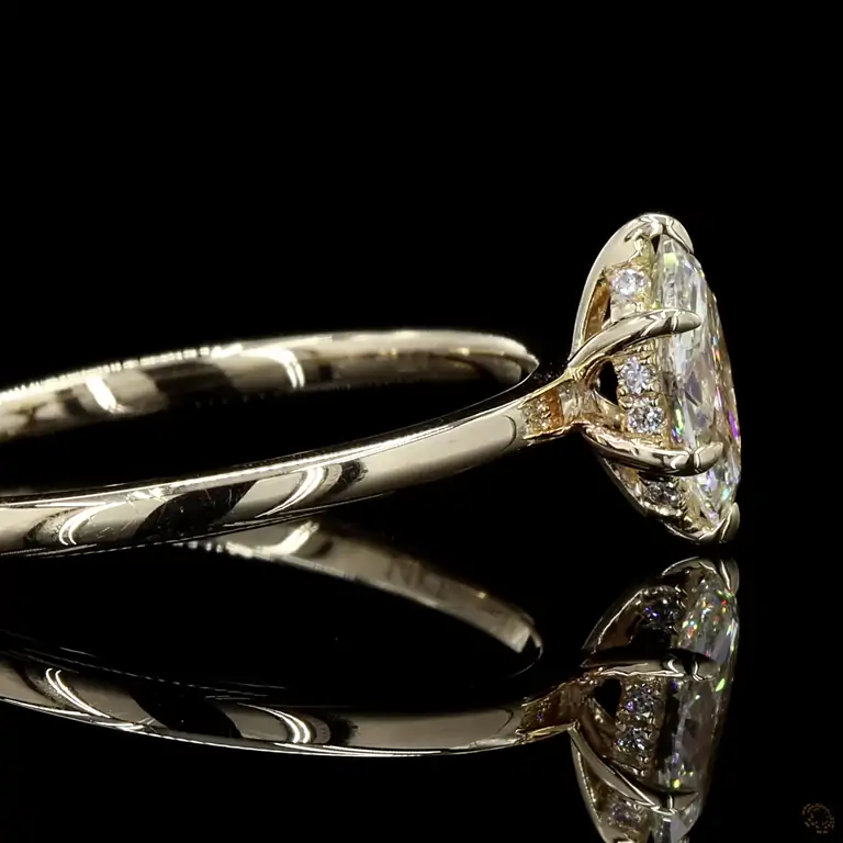 r-265399-p-p-zm-51591