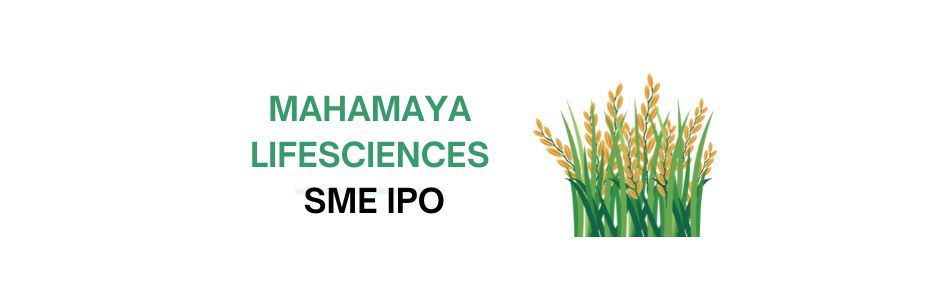 Infographic of Mahamaya Lifesciences product categories and IPO timeline