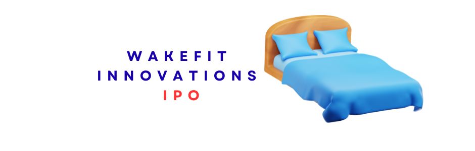 Retail investor analysing Vidya Wires IPO price band, issue dates and lot size on a laptop